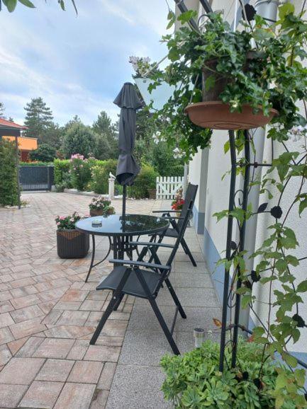 Apartma Majda Apartment Sezana Bagian luar foto